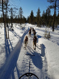 7 km