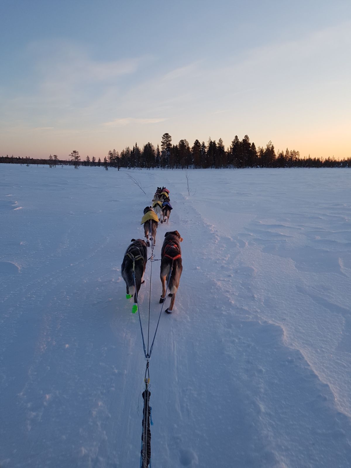 10 km