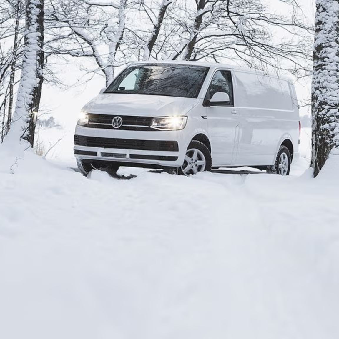 Transfer (one spot for each participant)
